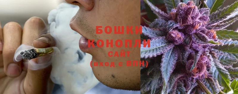 закладки  Ковров  Конопля SATIVA & INDICA 